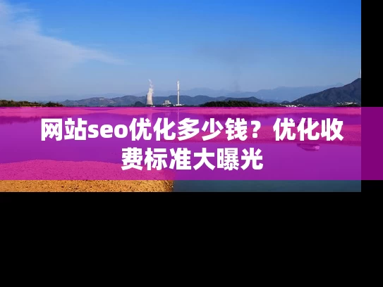 网站seo优化多少钱？优化收费标准大曝光