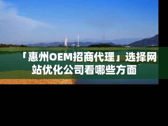 「惠州OEM招商代理」选择网站优化公司看哪些方面