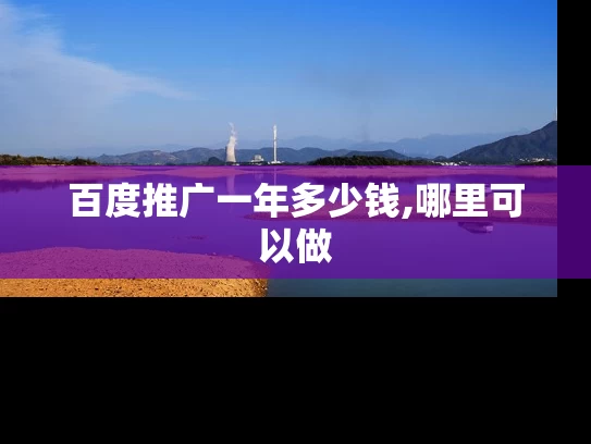 百度推广一年多少钱,哪里可以做