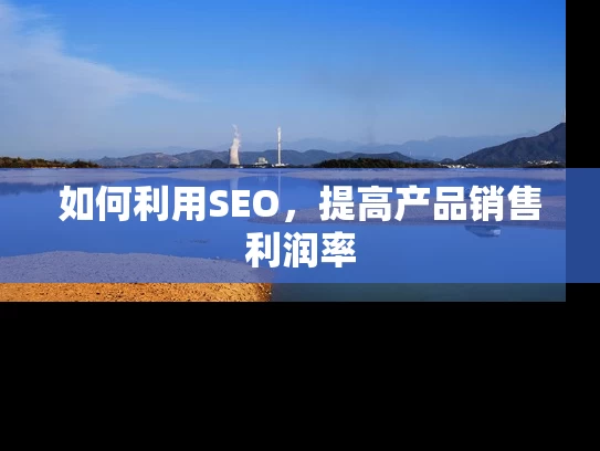 如何利用SEO，提高产品销售利润率