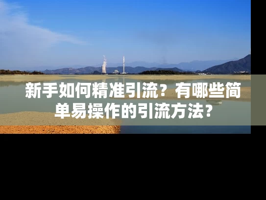 新手如何精准引流？有哪些简单易操作的引流方法？