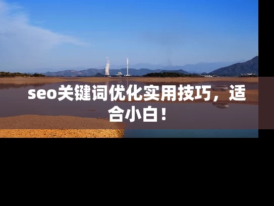 seo关键词优化实用技巧，适合小白！