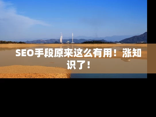 SEO手段原来这么有用！涨知识了！