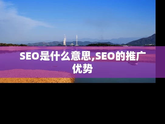 SEO是什么意思,SEO的推广优势