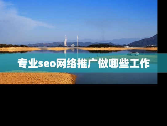 专业seo网络推广做哪些工作