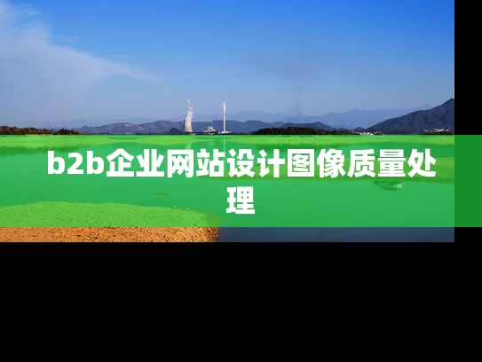 b2b企业网站设计图像质量处理