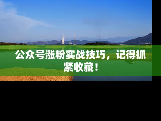 公众号涨粉实战技巧，记得抓紧收藏！