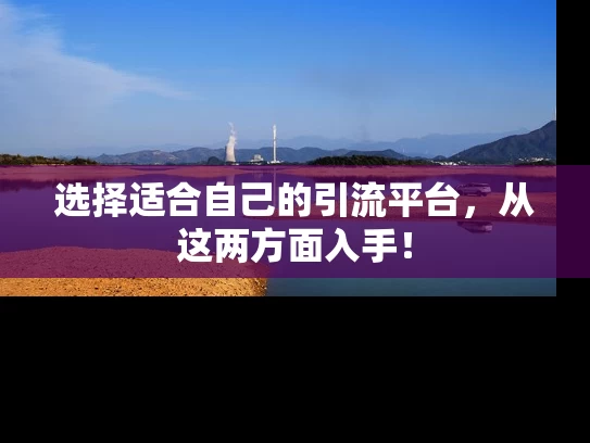 选择适合自己的引流平台，从这两方面入手！