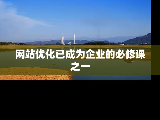 网站优化已成为企业的必修课之一