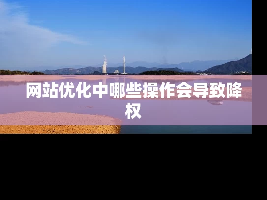网站优化中哪些操作会导致降权