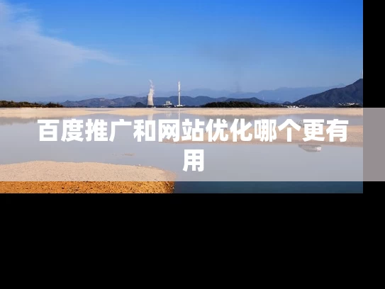 百度推广和网站优化哪个更有用