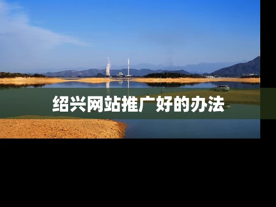绍兴网站推广好的办法