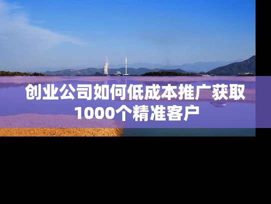 创业公司如何低成本推广获取1000个精准客户