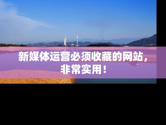 新媒体运营必须收藏的网站，非常实用！