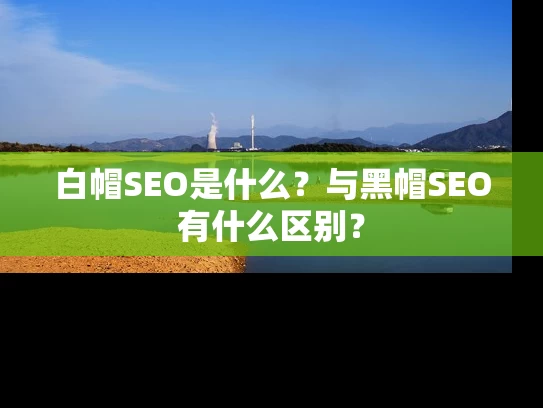白帽SEO是什么？与黑帽SEO有什么区别？
