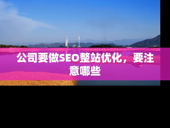 公司要做SEO整站优化，要注意哪些
