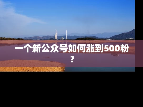 一个新公众号如何涨到500粉？