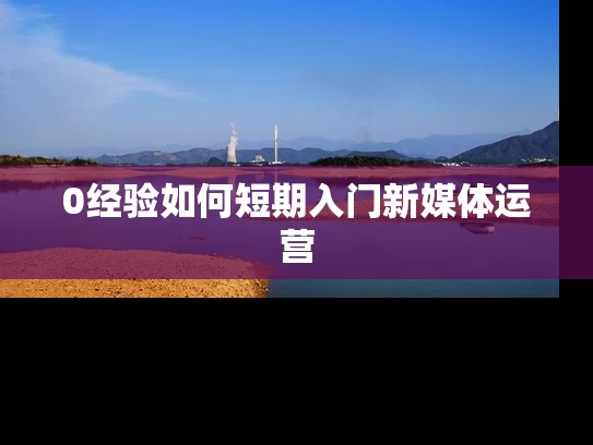 0经验如何短期入门新媒体运营