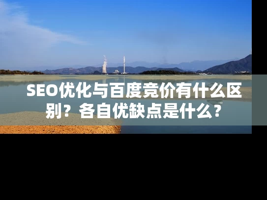 SEO优化与百度竞价有什么区别？各自优缺点是什么？