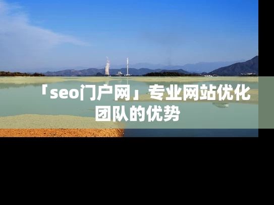 「seo门户网」专业网站优化团队的优势