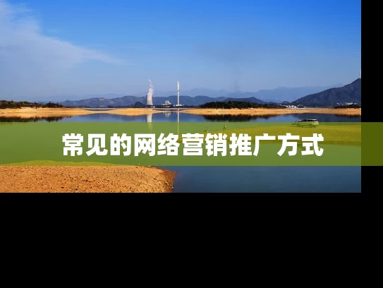 常见的网络营销推广方式