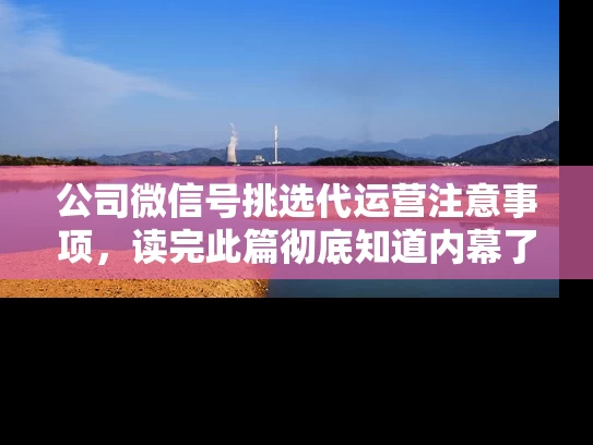 公司微信号挑选代运营注意事项，读完此篇彻底知道内幕了！