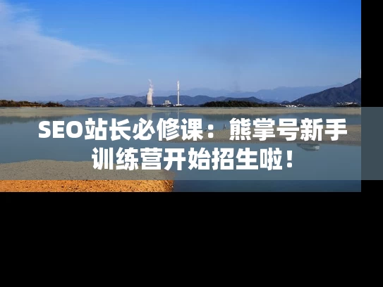 SEO站长必修课：熊掌号新手训练营开始招生啦！