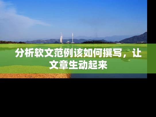 分析软文范例该如何撰写，让文章生动起来