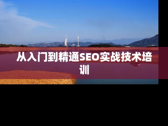 从入门到精通SEO实战技术培训