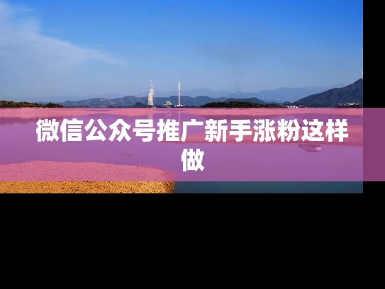 微信公众号推广新手涨粉这样做
