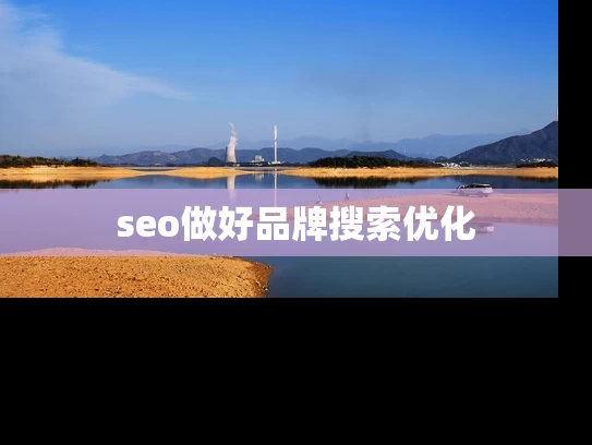 seo做好品牌搜索优化