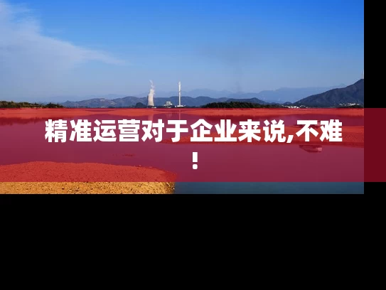 精准运营对于企业来说,不难!