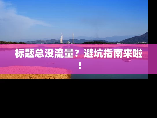 标题总没流量？避坑指南来啦！