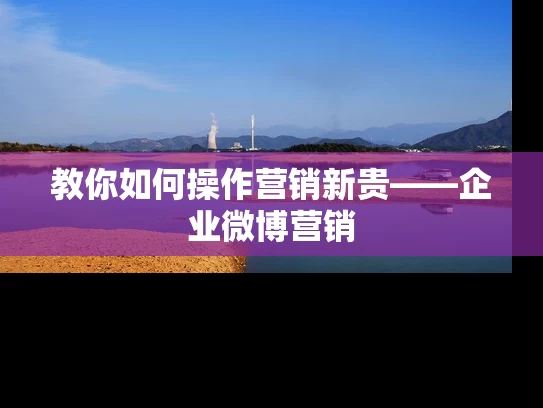 教你如何操作营销新贵——企业微博营销