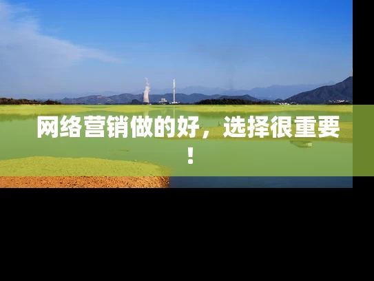 网络营销做的好，选择很重要！