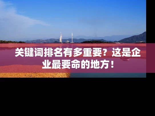 关键词排名有多重要？这是企业最要命的地方！