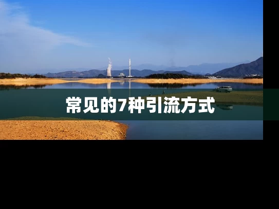 常见的7种引流方式