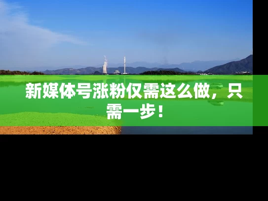 新媒体号涨粉仅需这么做，只需一步！