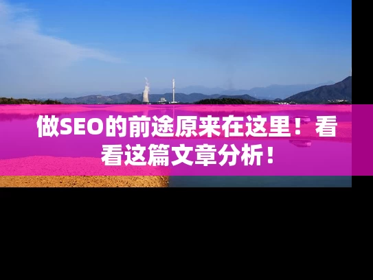 做SEO的前途原来在这里！看看这篇文章分析！