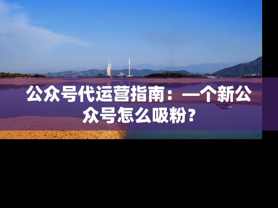 公众号代运营指南：—个新公众号怎么吸粉？