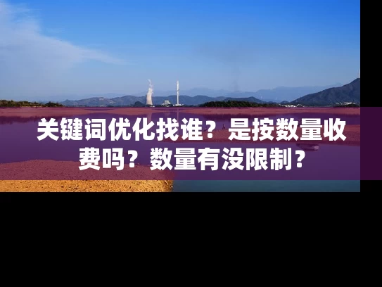 关键词优化找谁？是按数量收费吗？数量有没限制？