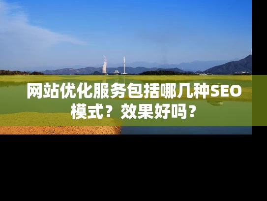网站优化服务包括哪几种SEO模式？效果好吗？