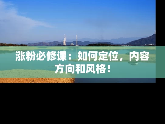 涨粉必修课：如何定位，内容方向和风格！