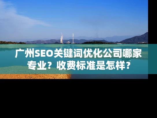 广州SEO关键词优化公司哪家专业？收费标准是怎样？