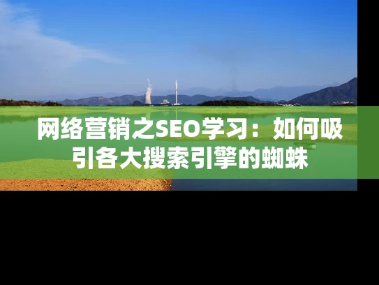 网络营销之SEO学习：如何吸引各大搜索引擎的蜘蛛