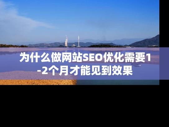 为什么做网站SEO优化需要1-2个月才能见到效果
