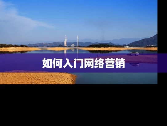 如何入门网络营销