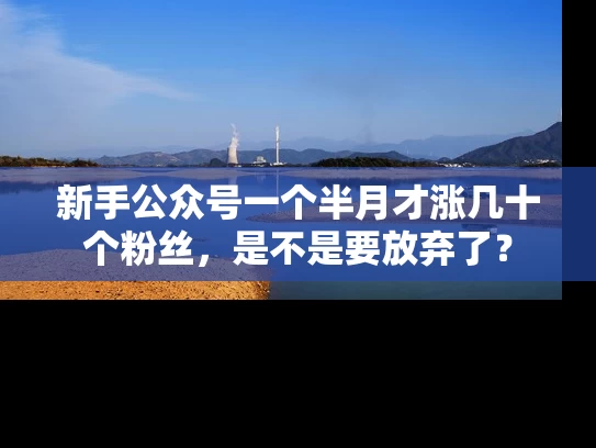 新手公众号一个半月才涨几十个粉丝，是不是要放弃了？