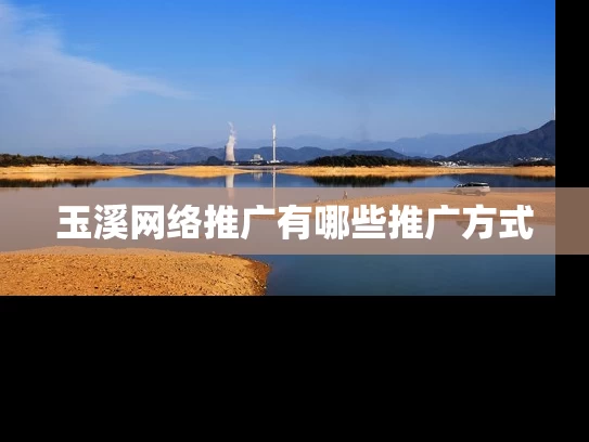 玉溪网络推广有哪些推广方式