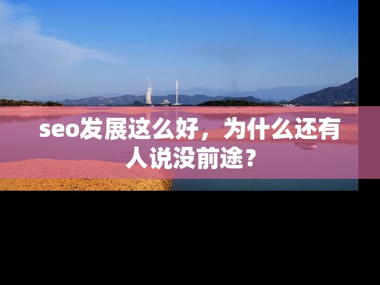 seo发展这么好，为什么还有人说没前途？